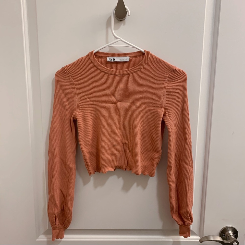Zara long sleeve crop top